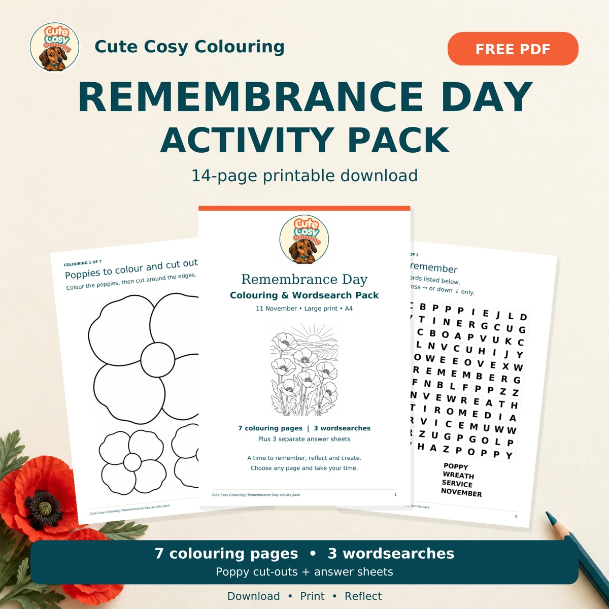 Remembrance Day Activity Pack